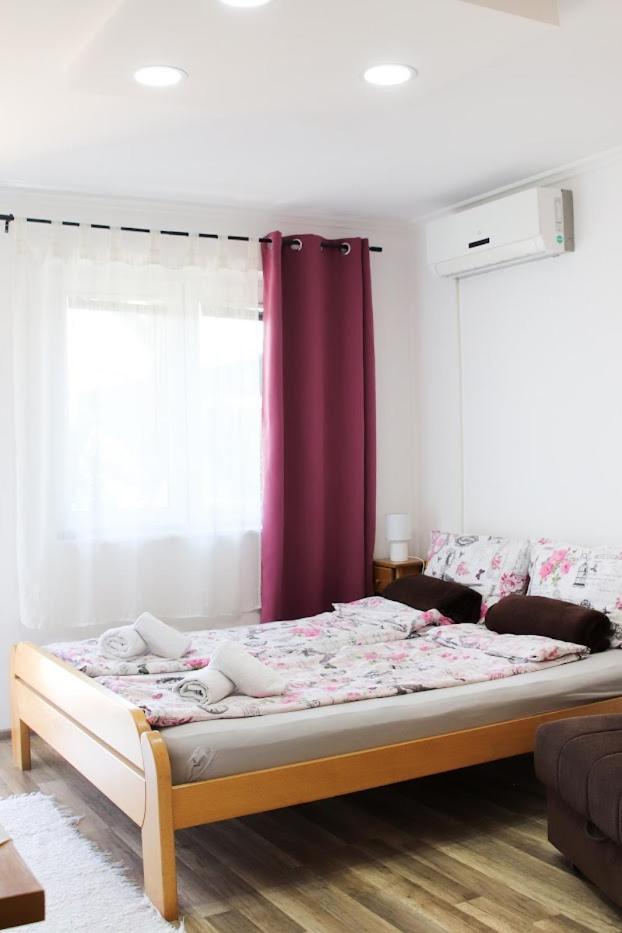 Charming Studio Masa Palić Zewnętrze zdjęcie